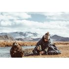 Wacaco Nanopresso mohazöld hordozható kávéfőző őrölt kávéhoz + kemény védőtok