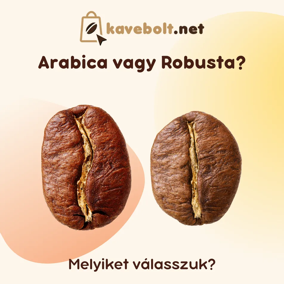 Arabica vagy Robusta? Melyiket válasszuk? 